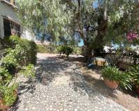 Resale - Freistehendes Haus (Villa) - Ciudad Quesada - Quesada Zentrum